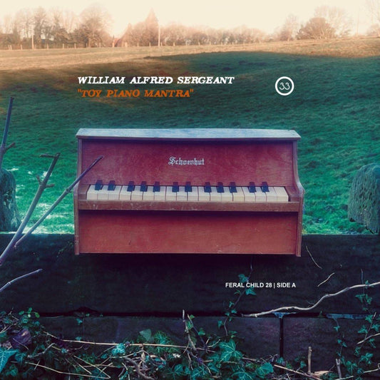 Toy Piano Mantra / Ghosts of the Karelia Forest