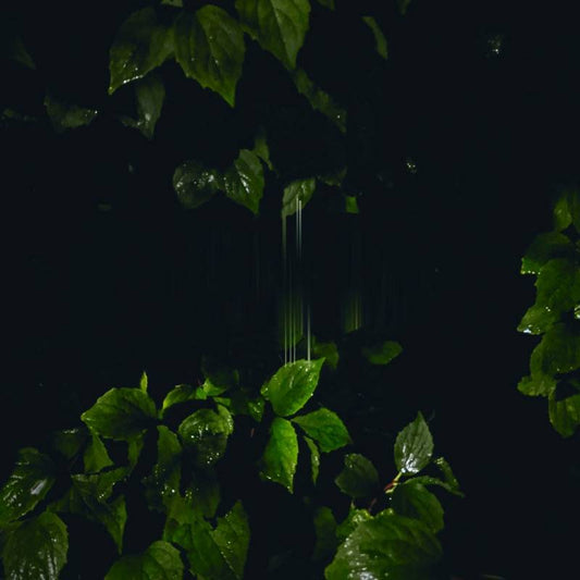 Music for Empty Flats