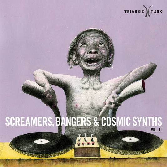 Screamers Bangers and Cosmic Synths 2