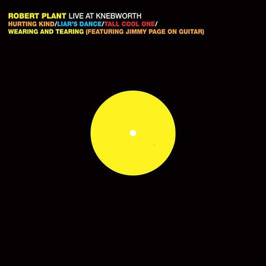 Live At Knebworth
