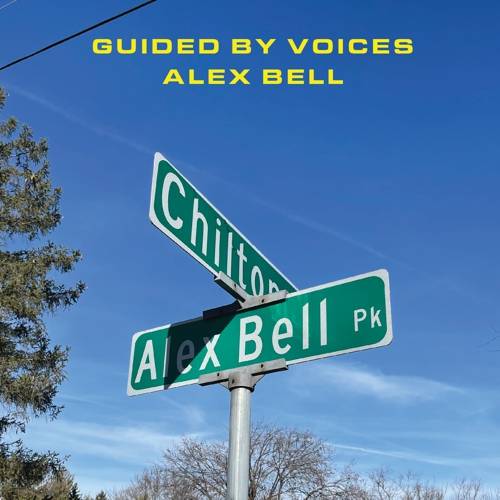 Alex Bell / Focus On The Flock