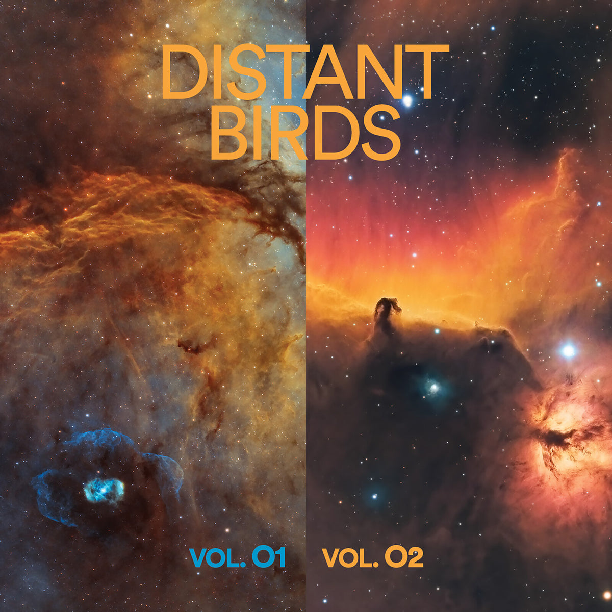 Distant Birds - VOL. 01 & 02 Product Image