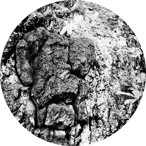 Polymer EP (Vakula Remix)