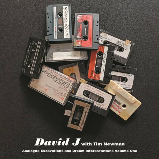Analogue Excavations and Dream Interpretations Vol 1