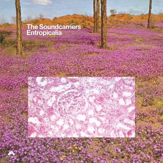 Entropicalia (Reissue)