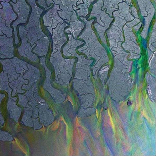 An Awesome Wave (National Album Day 2022)