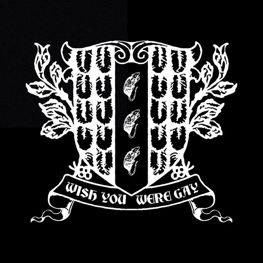 Wish You Were Gay