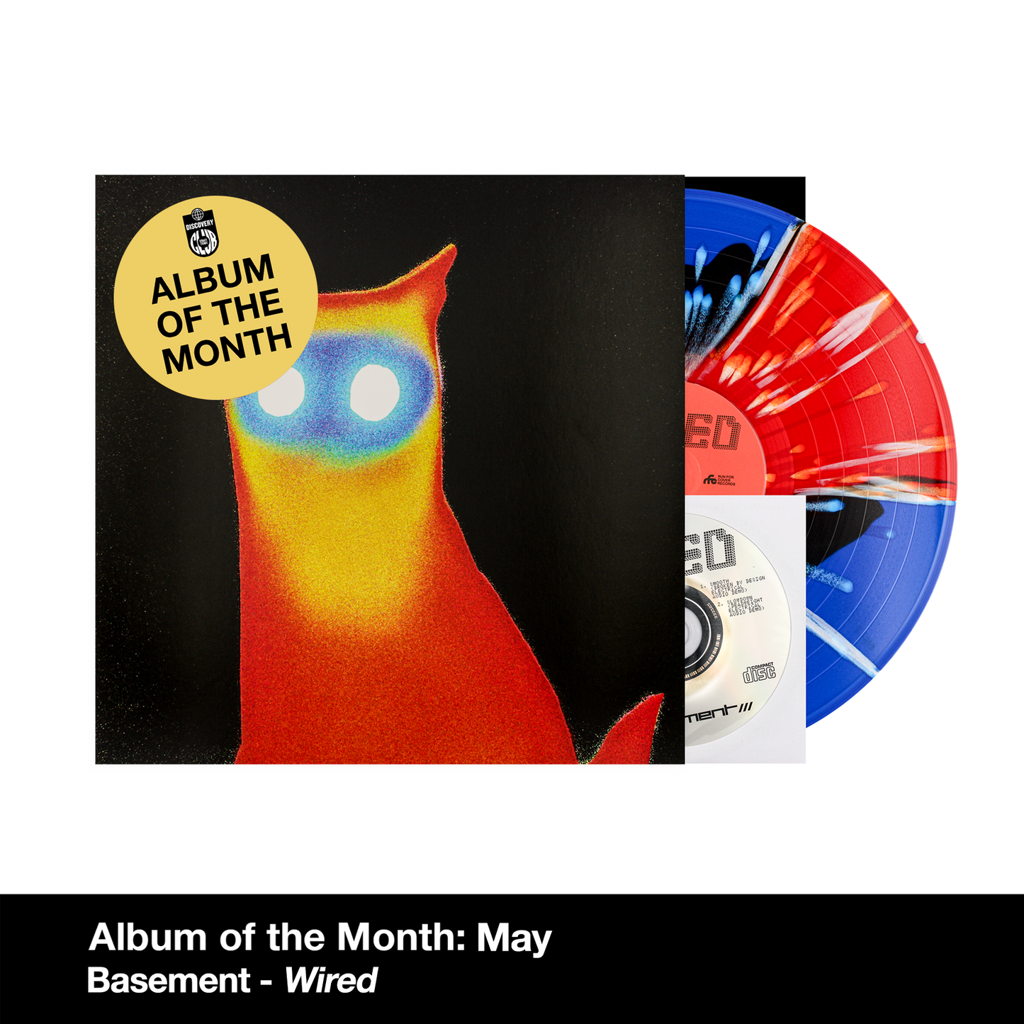 Rough Trade Club | Discovery