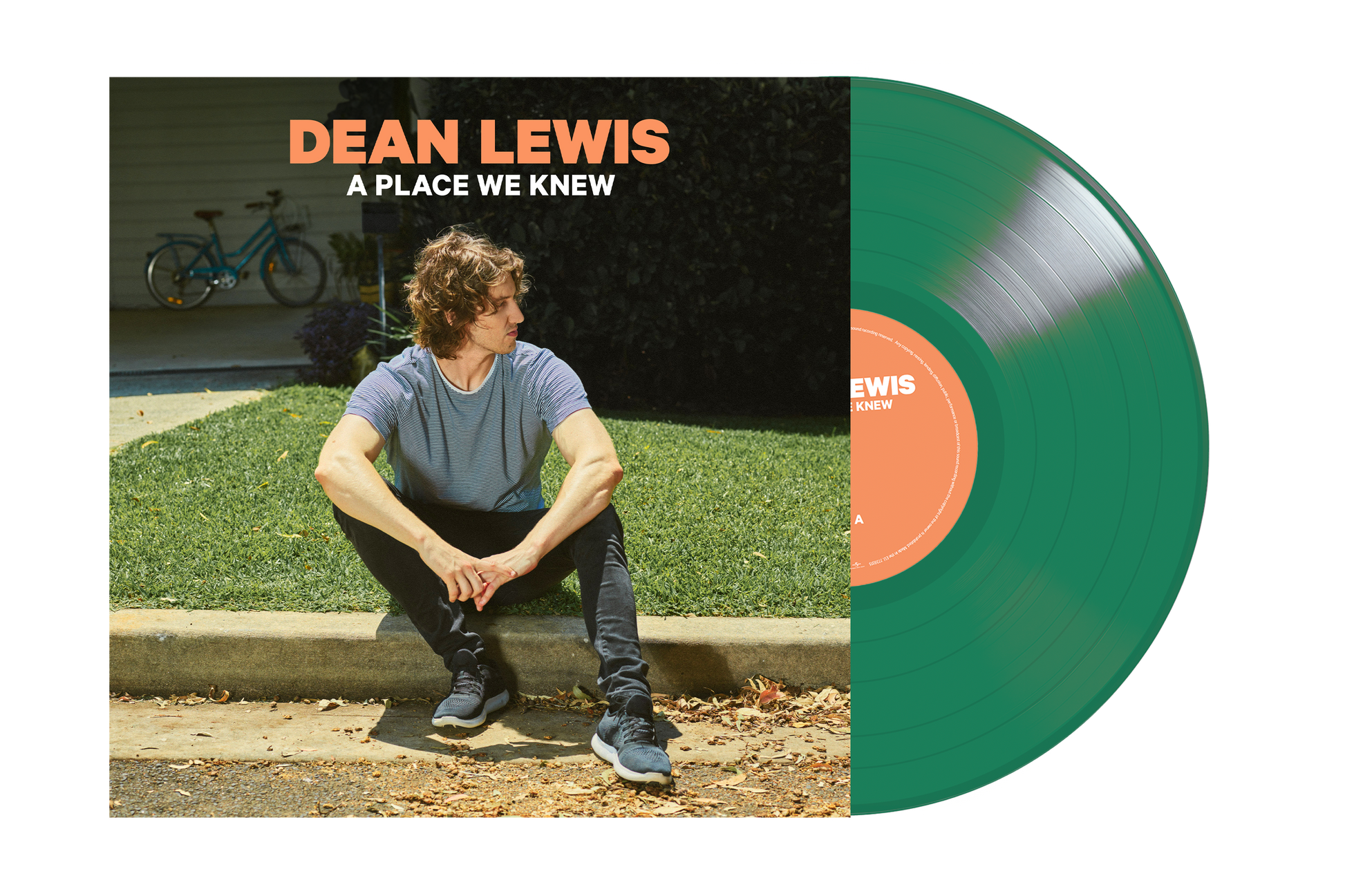 APlaceWeKnew_VinylMockTransparent (1).png
