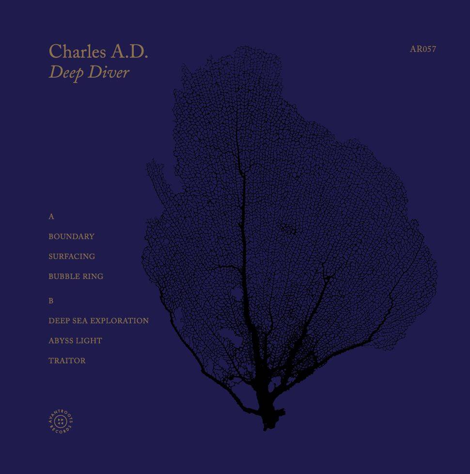 Deep Diver