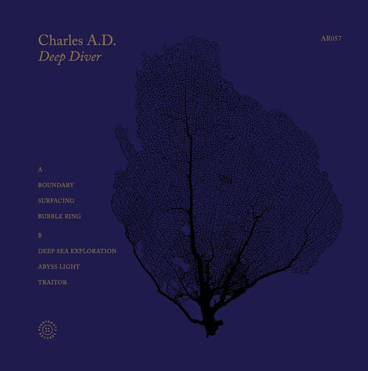 Deep Diver