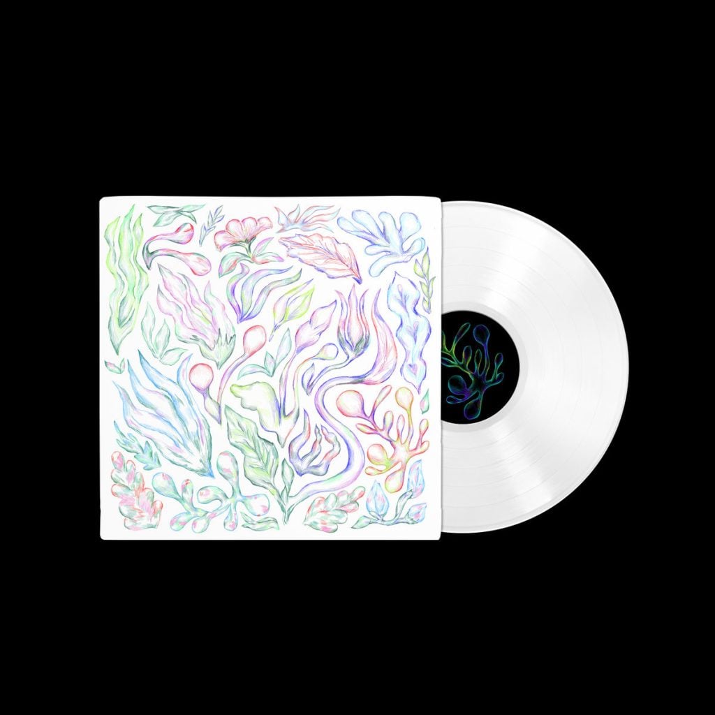 Plants Can Dance: Curated by Auntie Flo