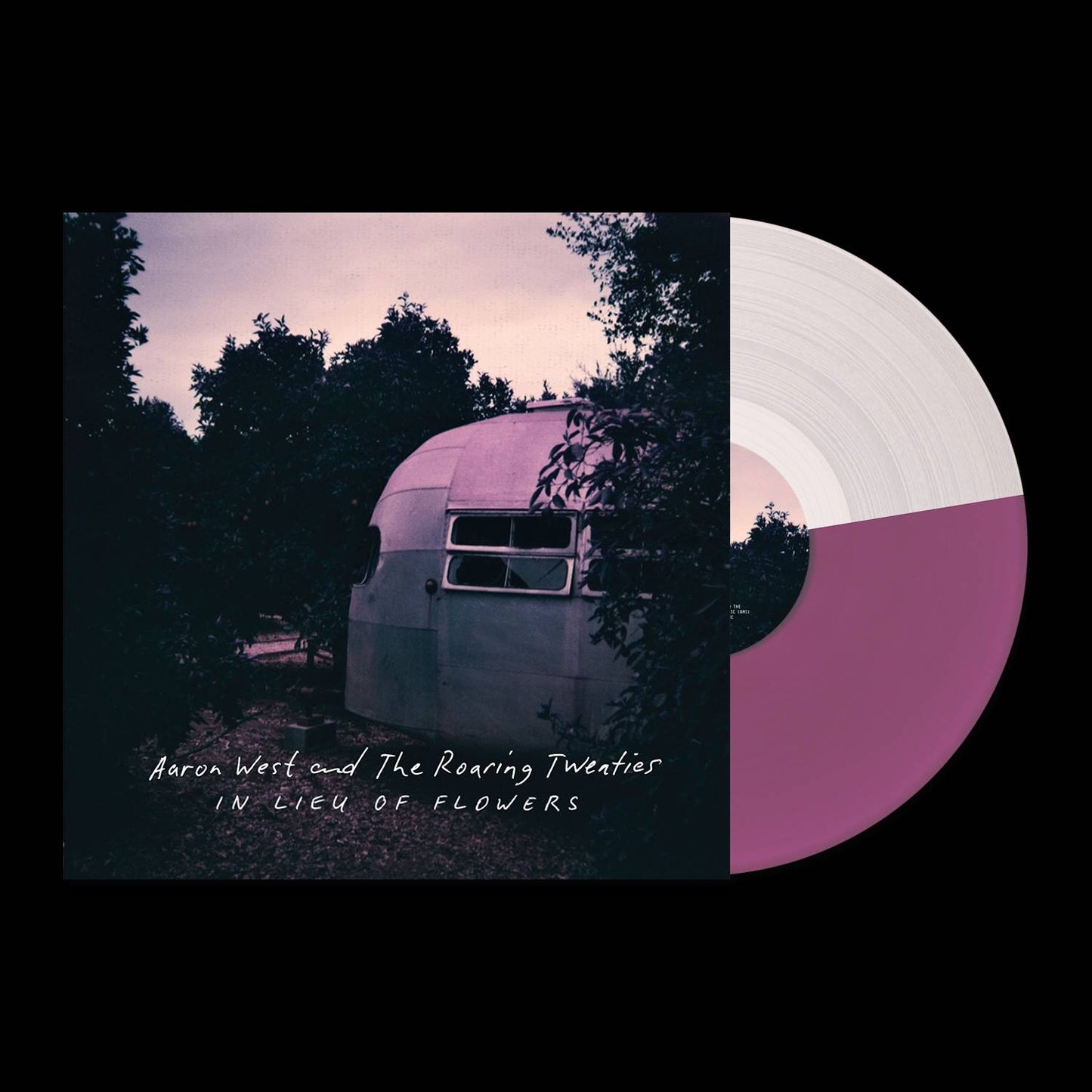 AW Retail - purple and clear split.jpg