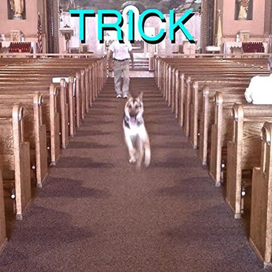 Alex_G_-_Trick.webp