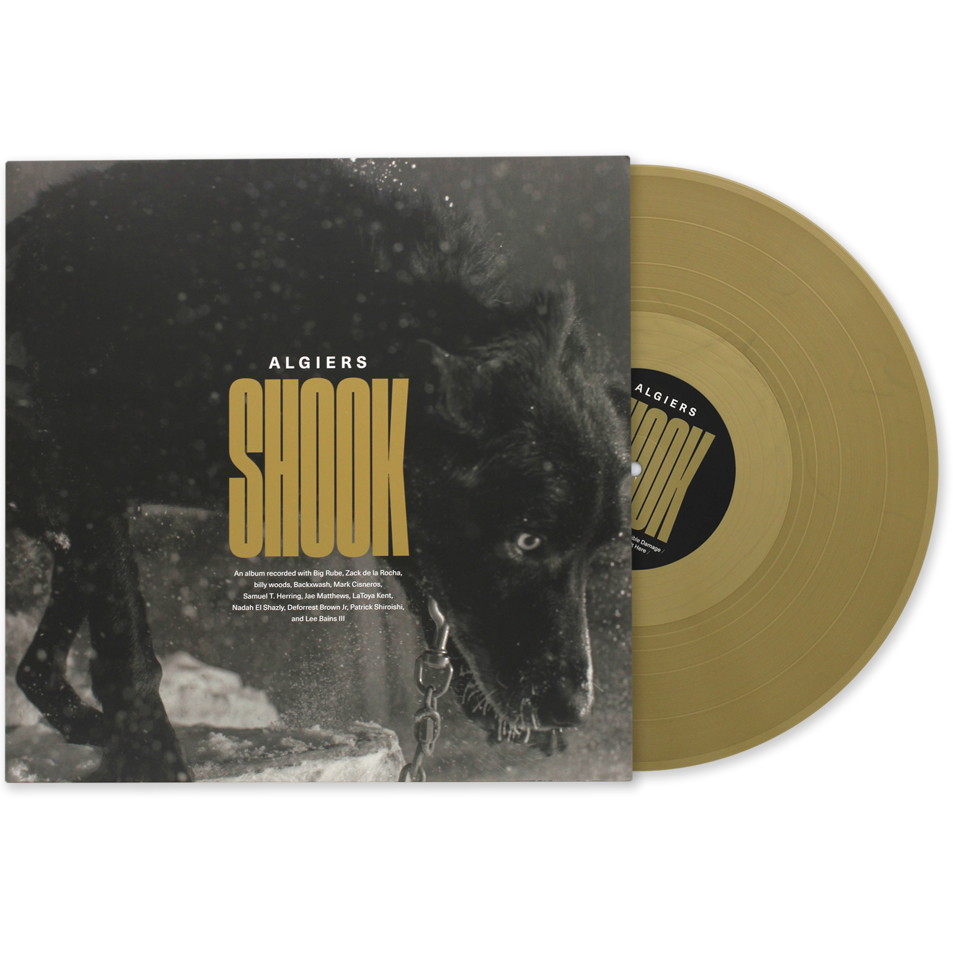 Algiers- Shook LP+ Trans.png