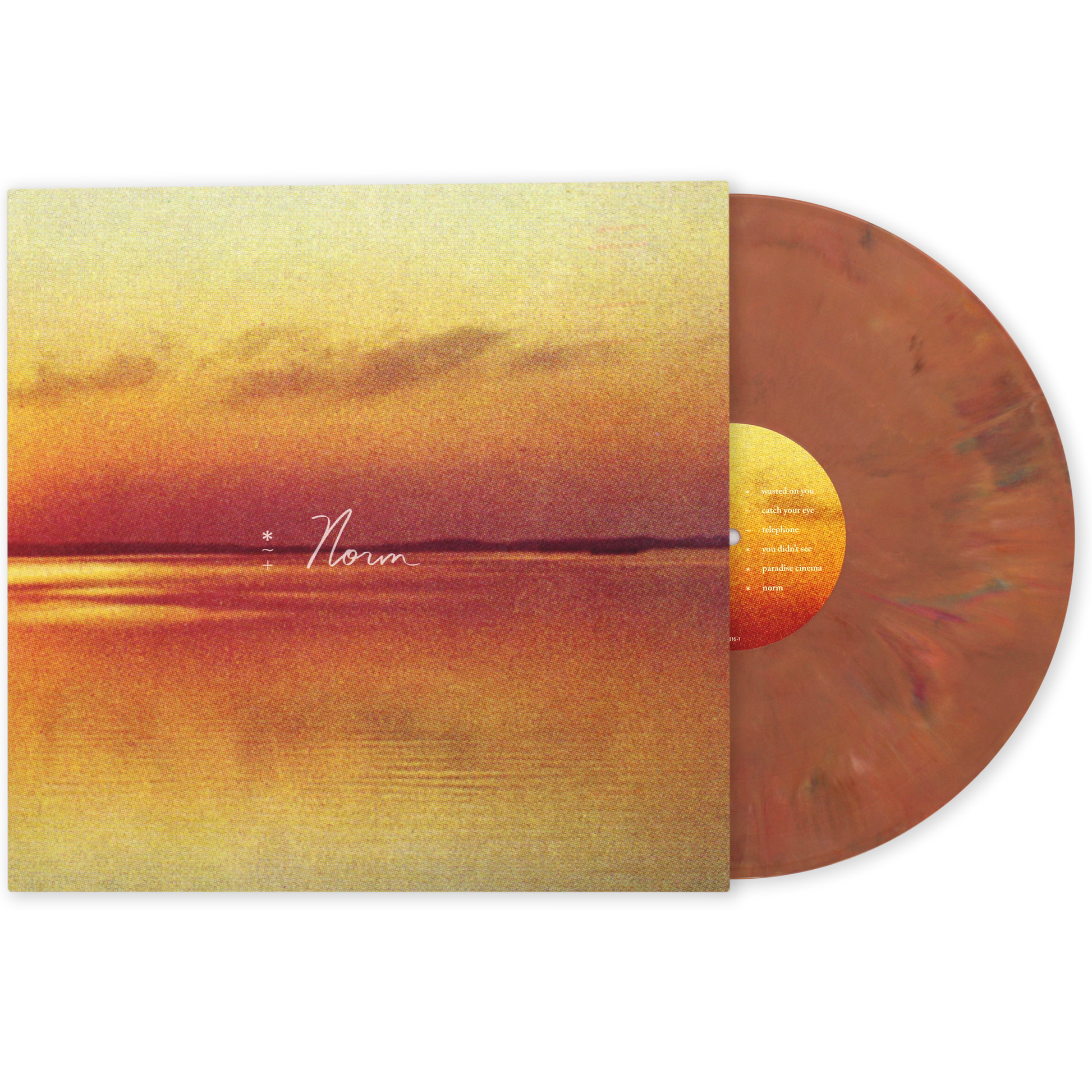 Andy Shauf - Norm LP+ White Trans.png
