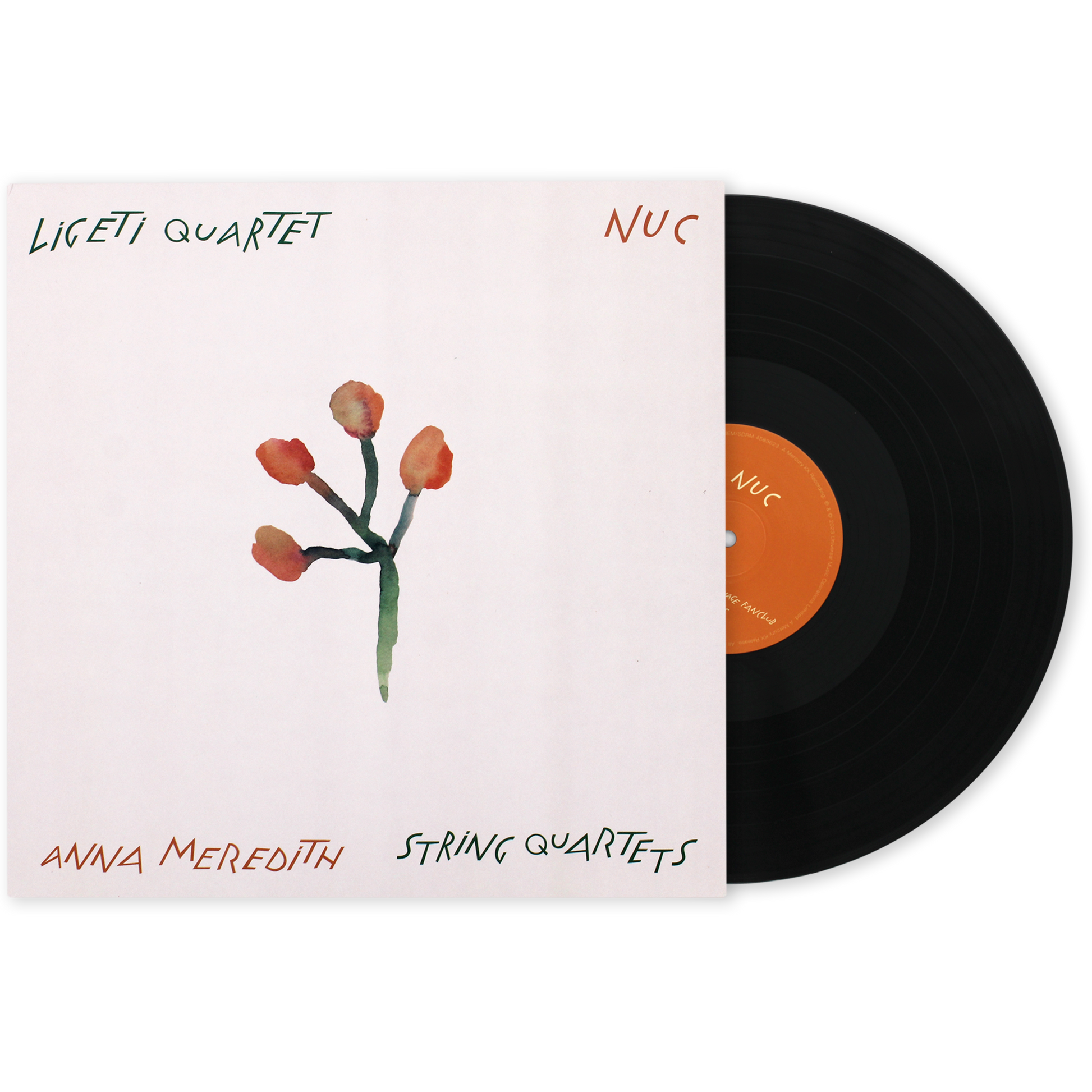 Anna Meredith X Liceti Quartet LP Trans.png
