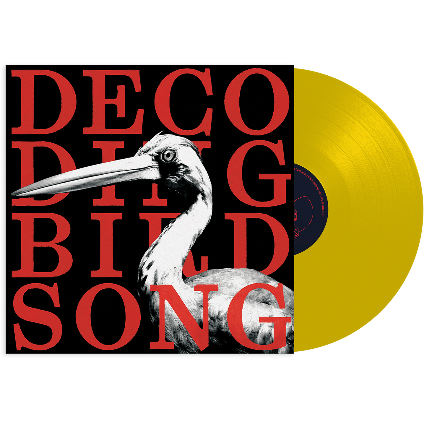 Decoding Birdsong