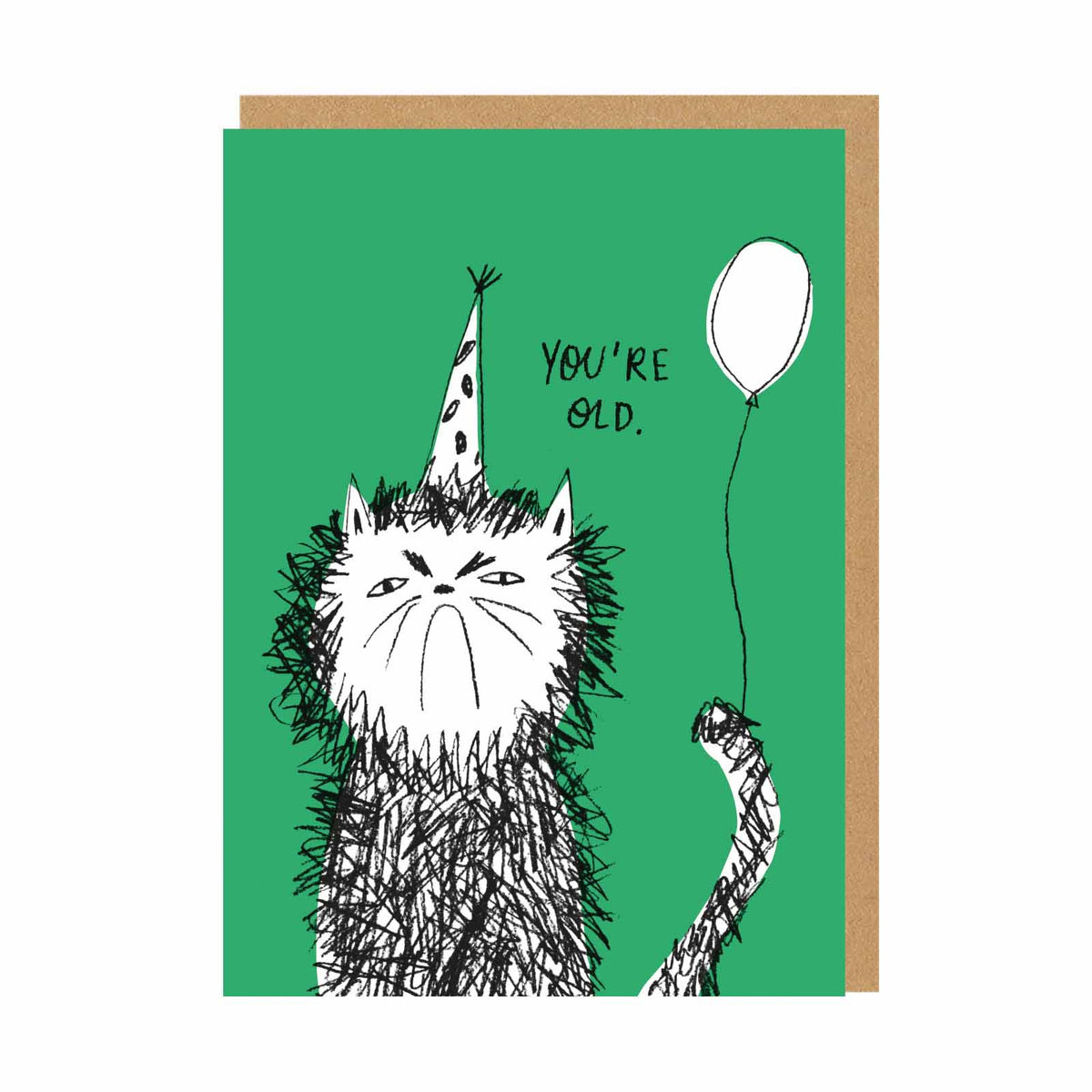 You're Old Cat Birthday Card by Ohh Deer
