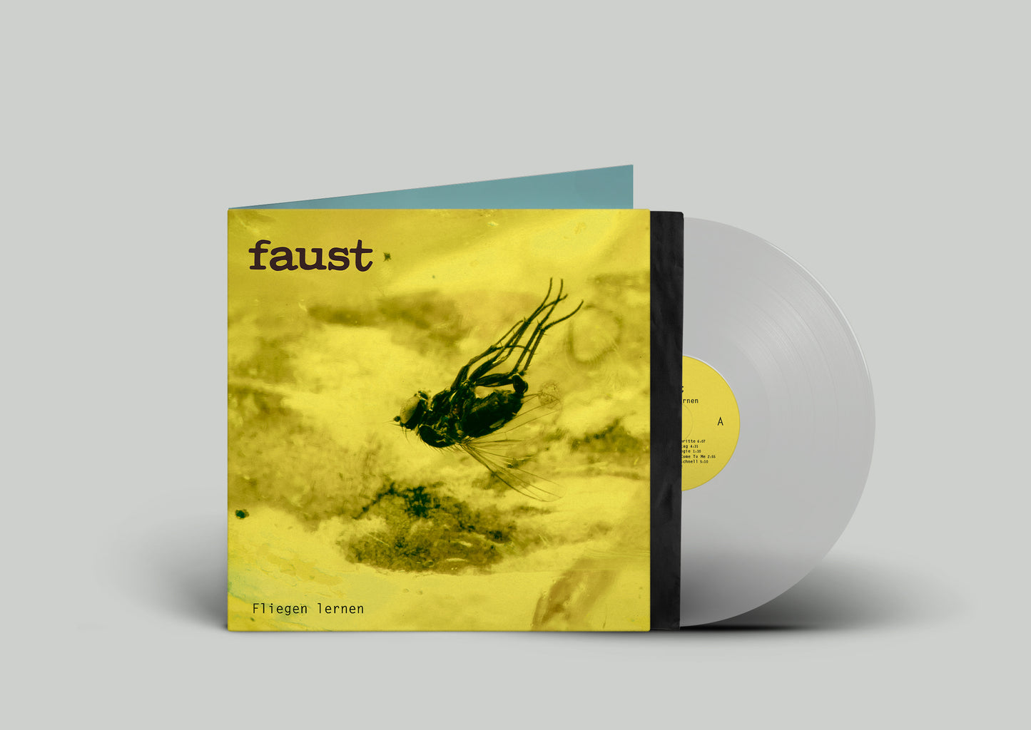 Fliegen Lernen (Curated By Gunther Wüsthoff)