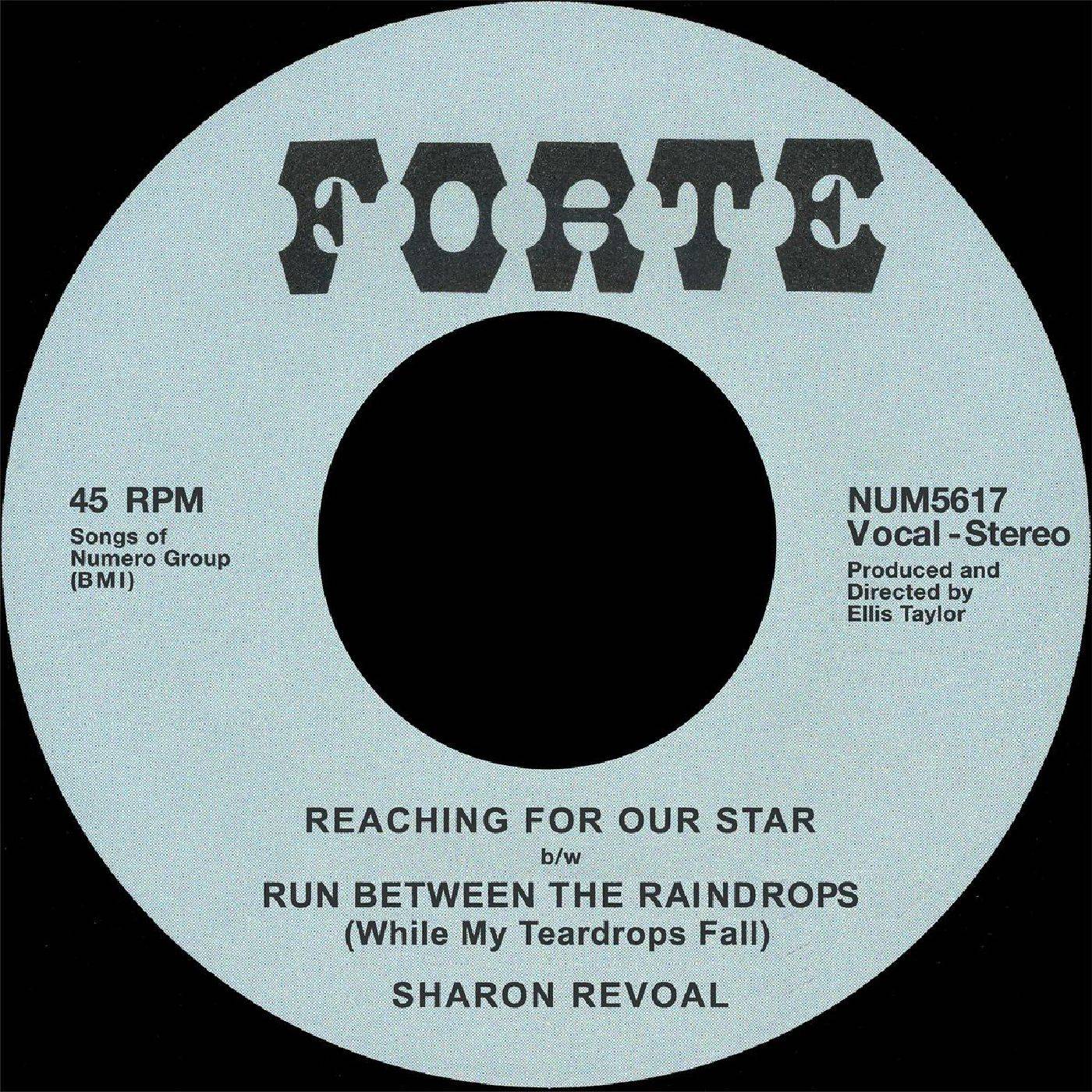 Reaching For Our Star / Run Between The Raindrops (While My Teardrops Fall)