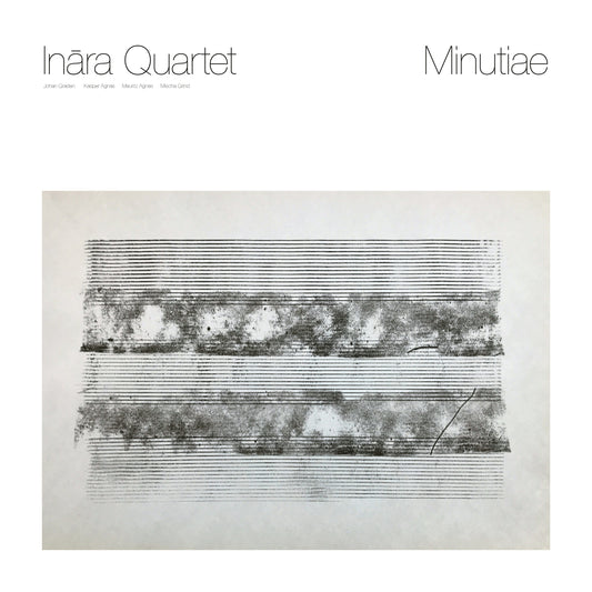 Minutiae