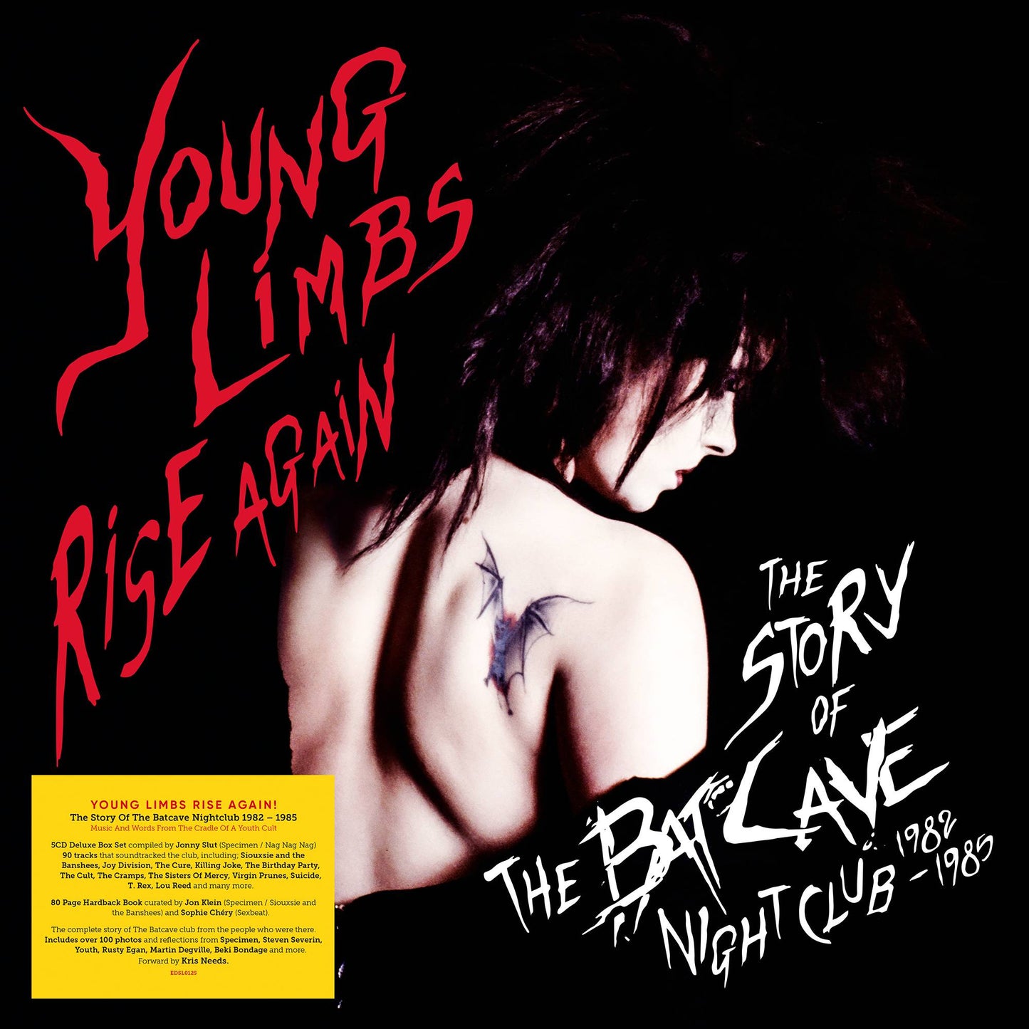 Young Limbs Rise Again  The Story of the Batcave Nightclub 1982  1985
