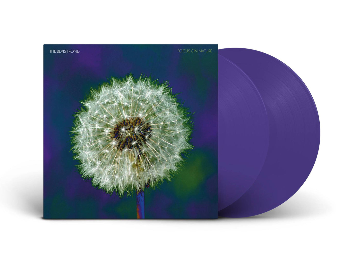 Bevis Frond - Focus on Nature LP render.jpg