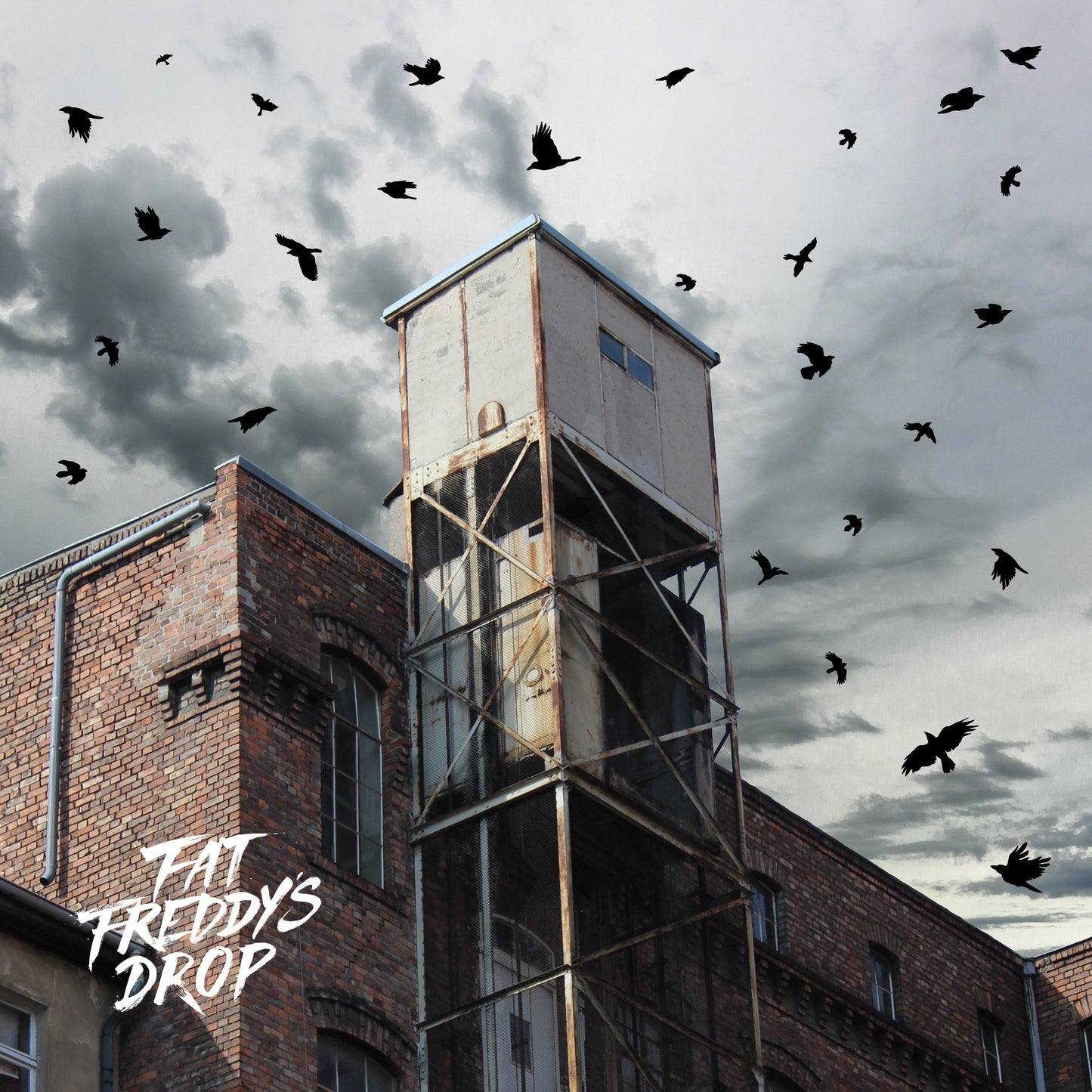 Blackbird Returns (Remixes)