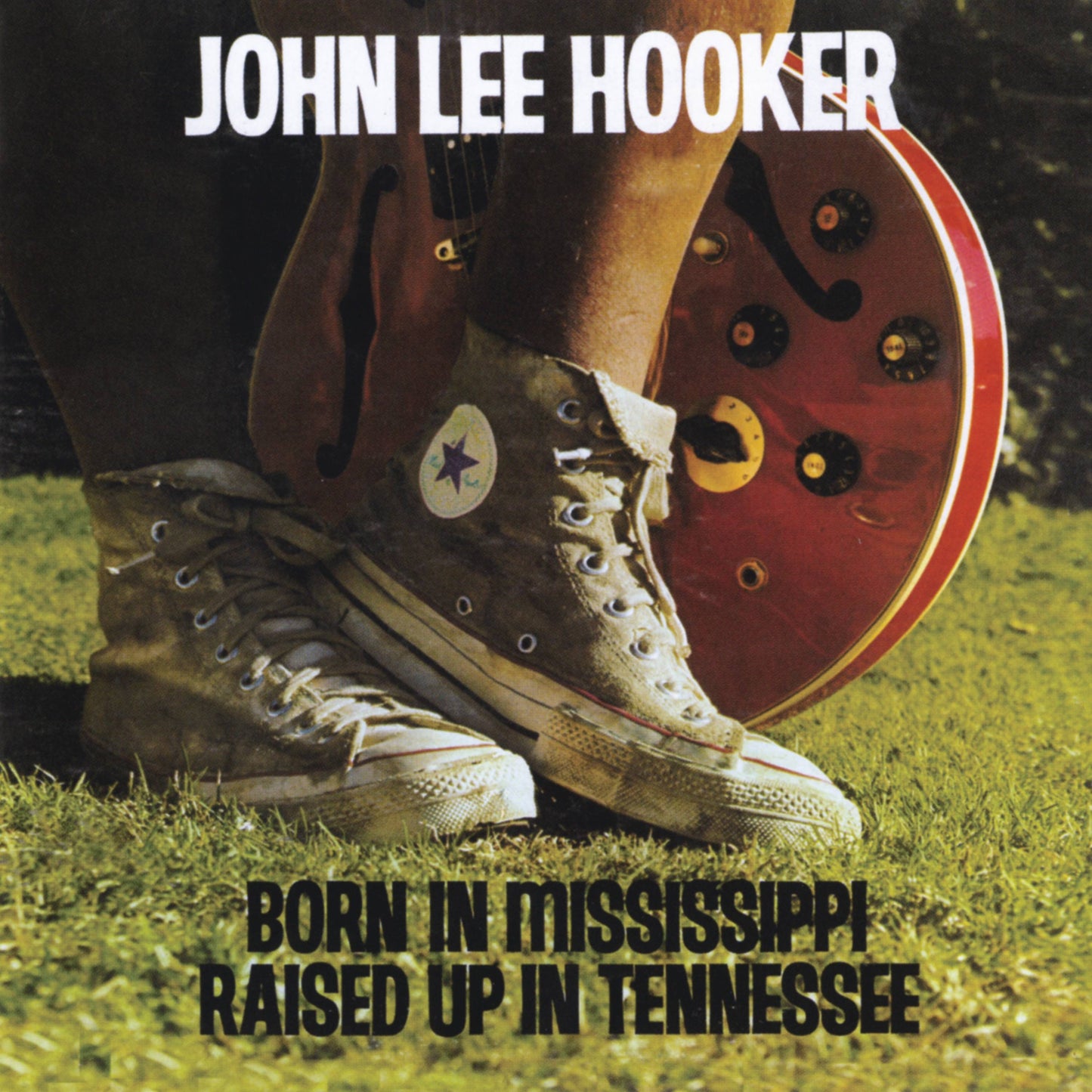 Born in Mississippi Raised Up In Tennessee