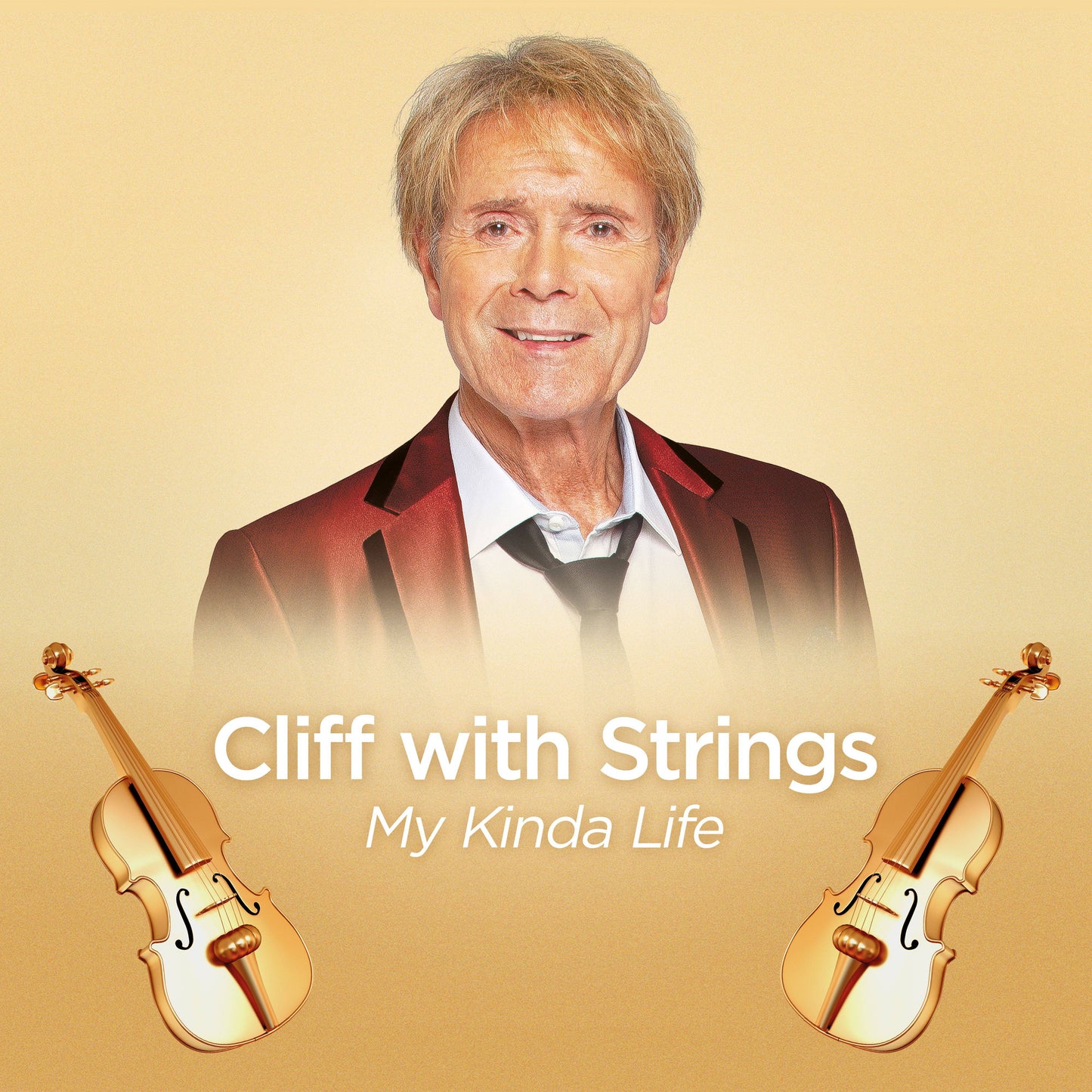 Cliff with Strings  My Kinda Life