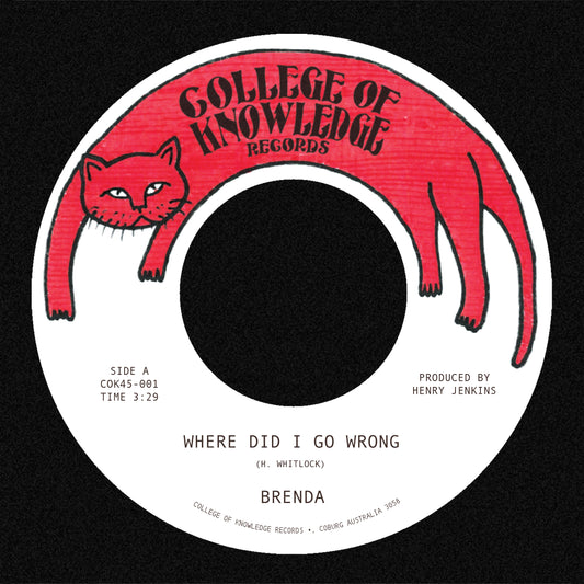 Where Did I Go Wrong / Family
