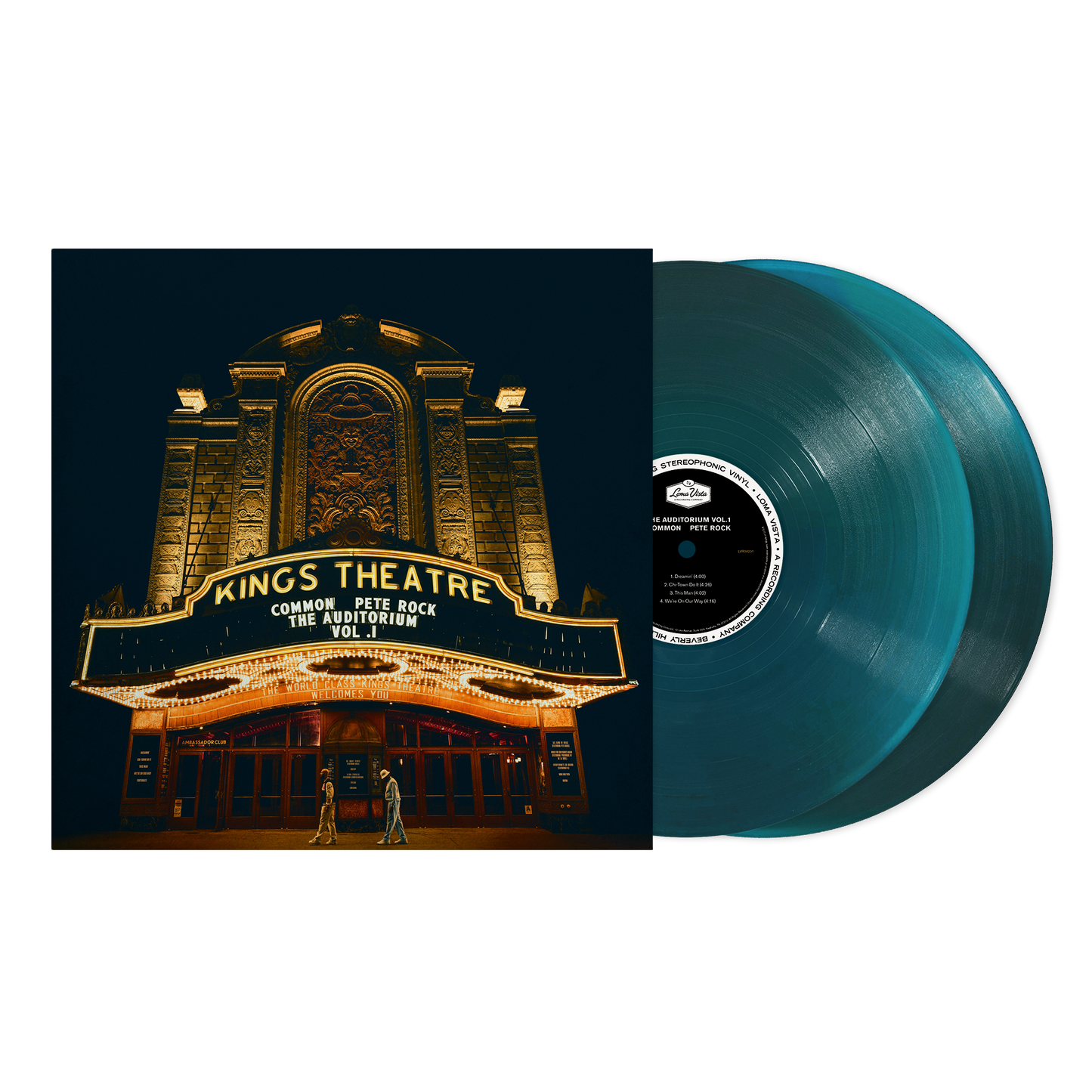 COMMON_VINYL_T13 (1).png