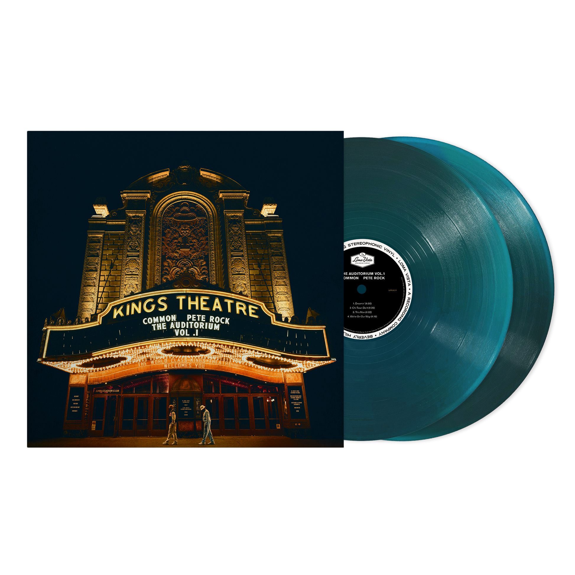 COMMON_VINYL_T13 (1).png