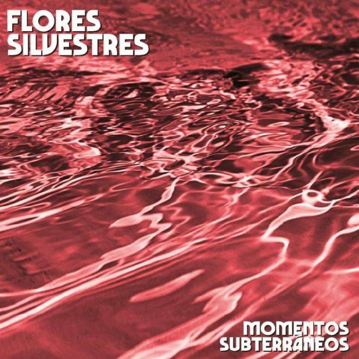 Momentos Subterraneos