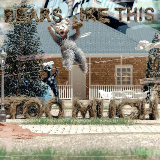 Spillage Village - Bears Like This Too Much Product Image