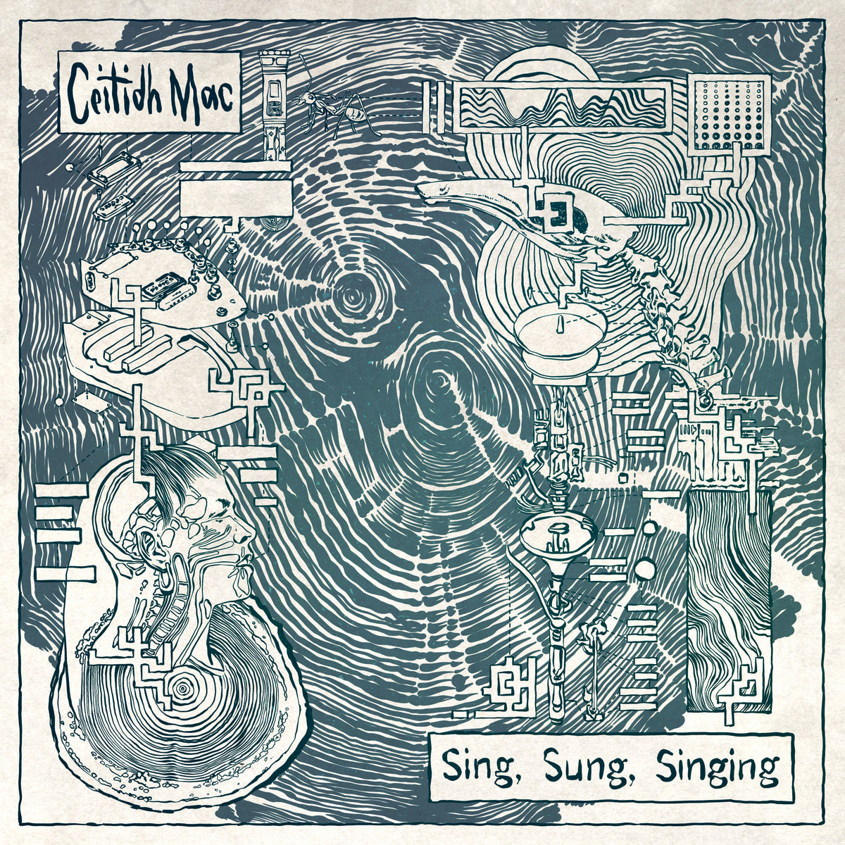 Sing, Sung, Singing