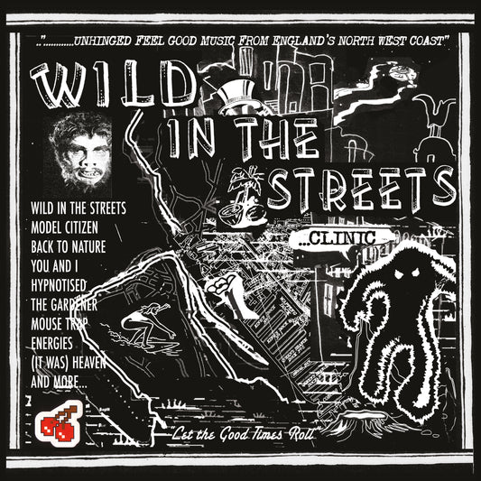 Wild In The Streets