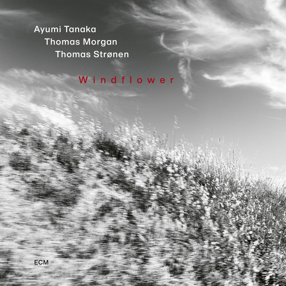 Ayumi Tanaka: Windflower
