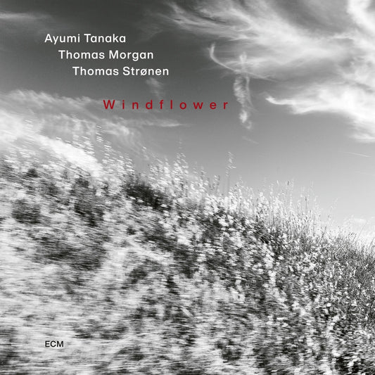 Ayumi Tanaka: Windflower