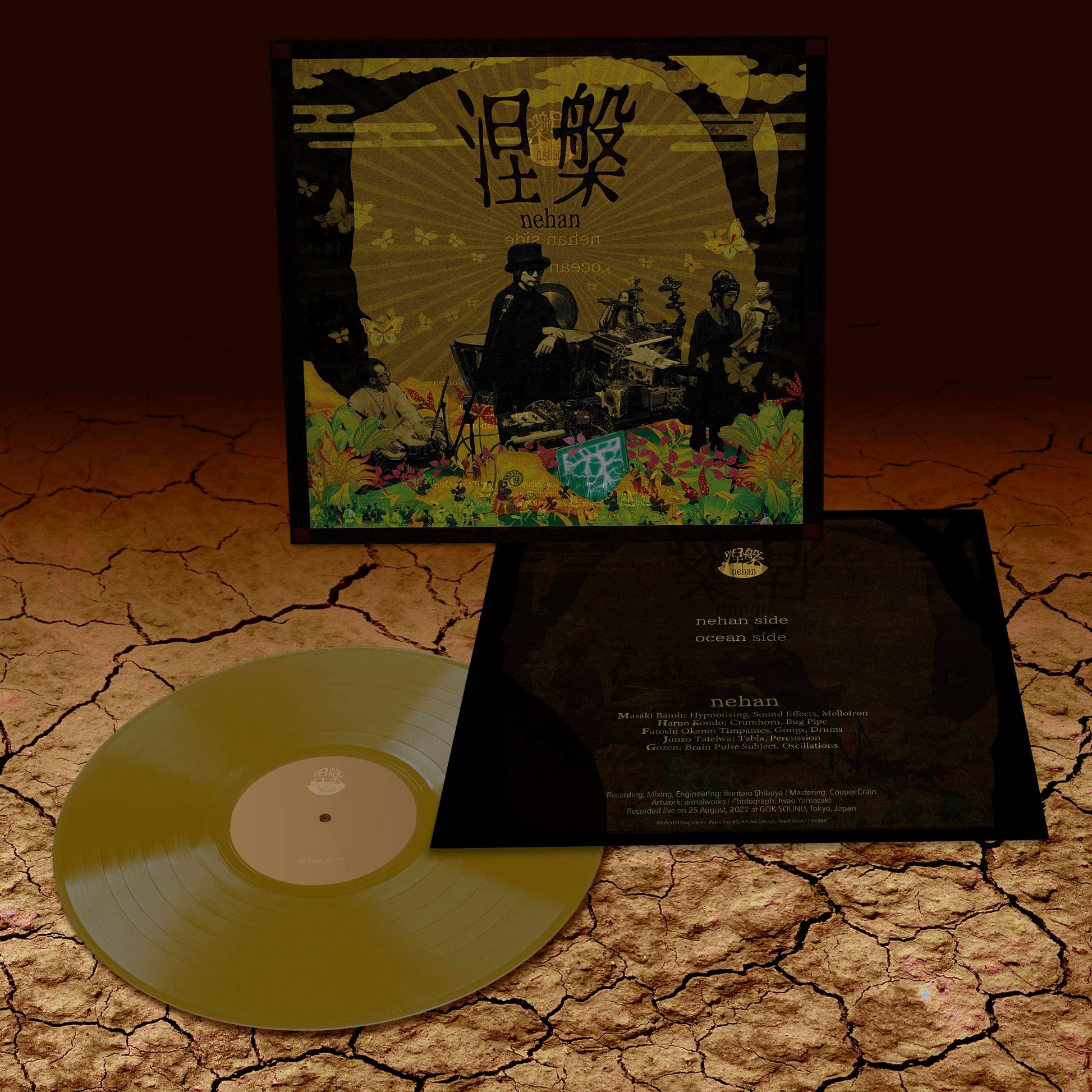 DC884 3D PACK.jpg