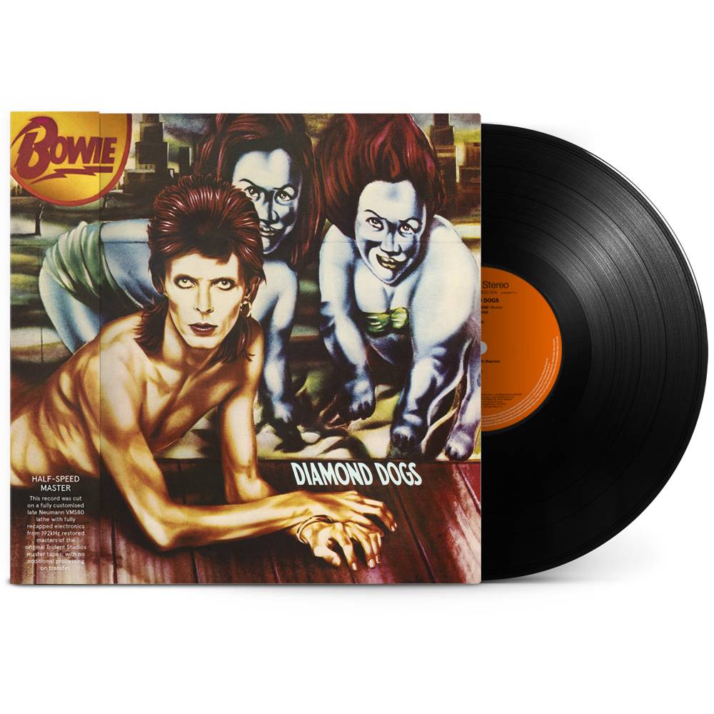 DD_HALF_VINYL (1).jpg