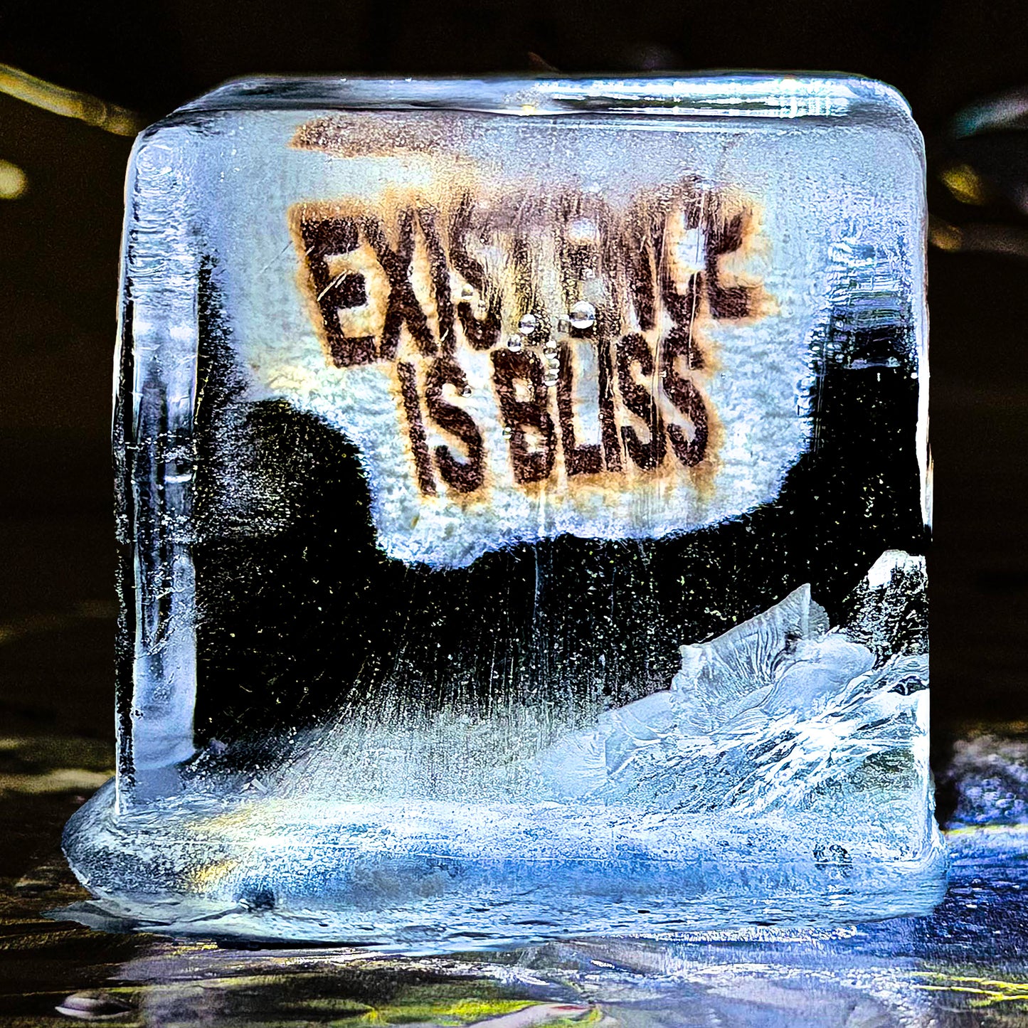 Existence is Bliss