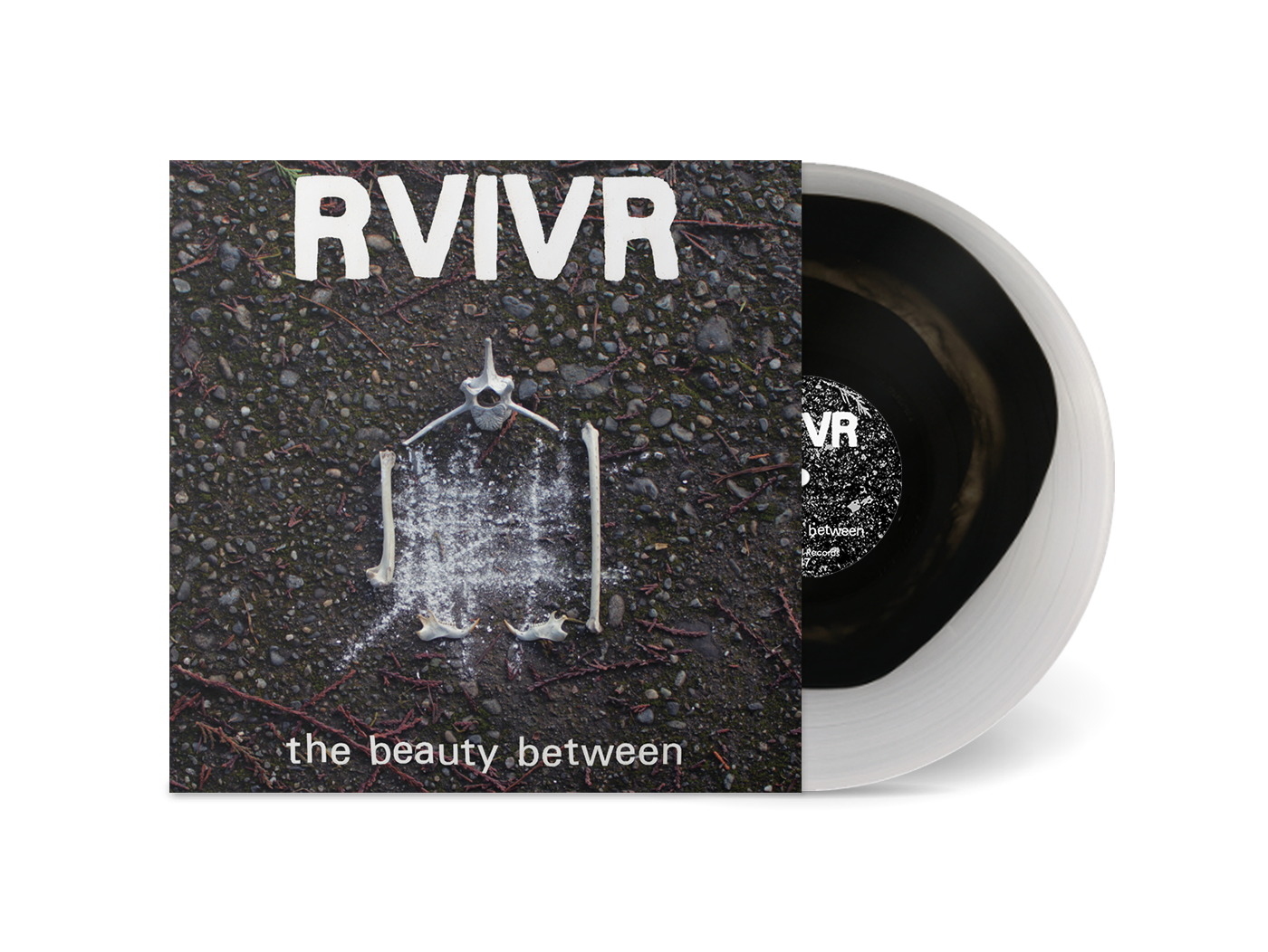 The Beauty Between