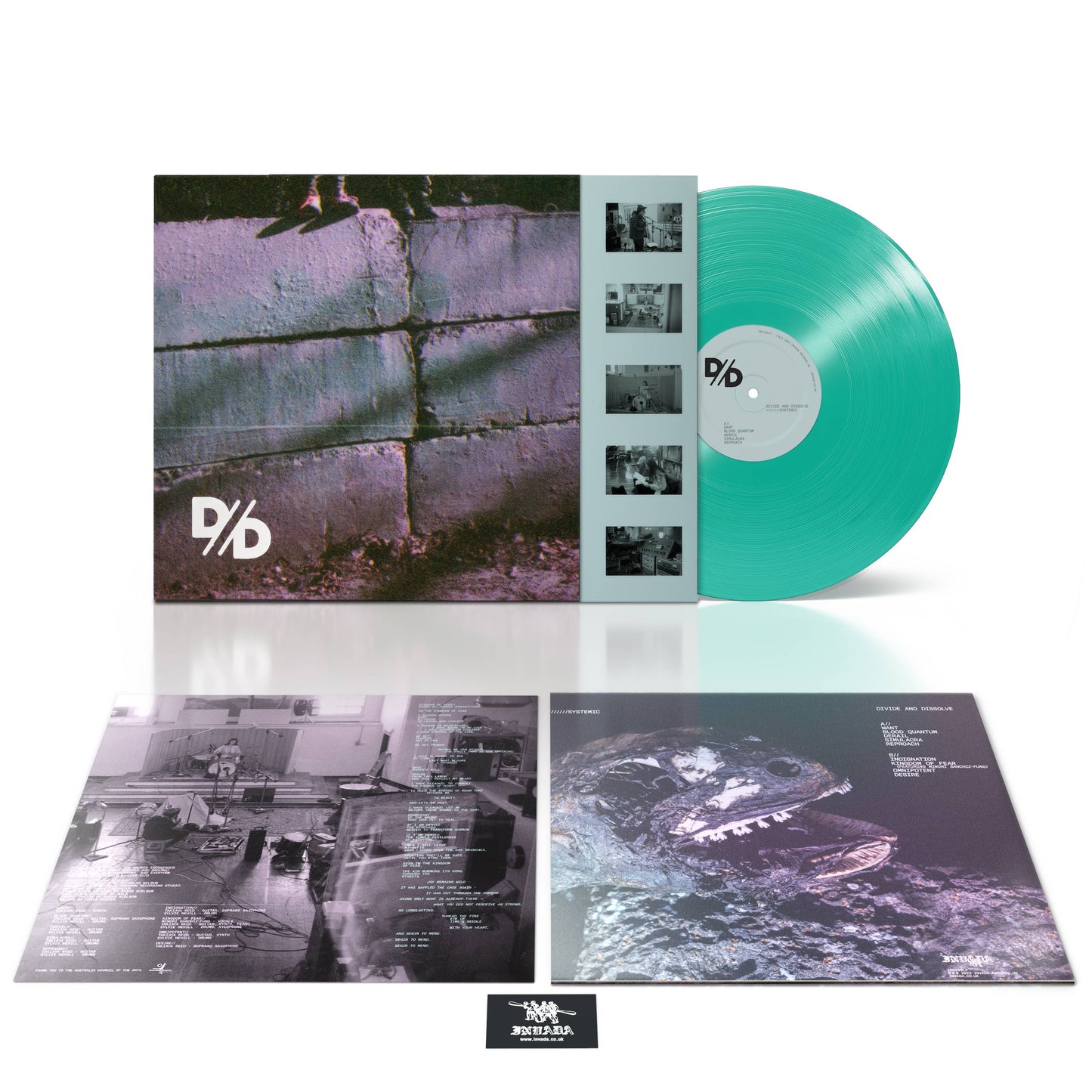 DIV-DIS-LP-GREEN-3000.jpg