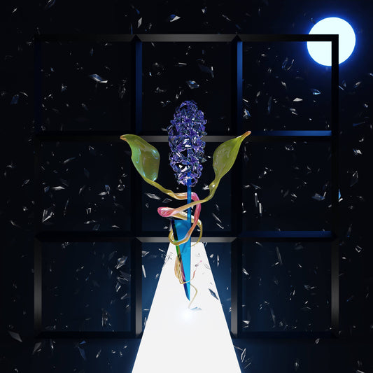 A Room With Many Doors : Night