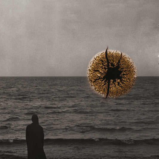 Echoes of Impermanence