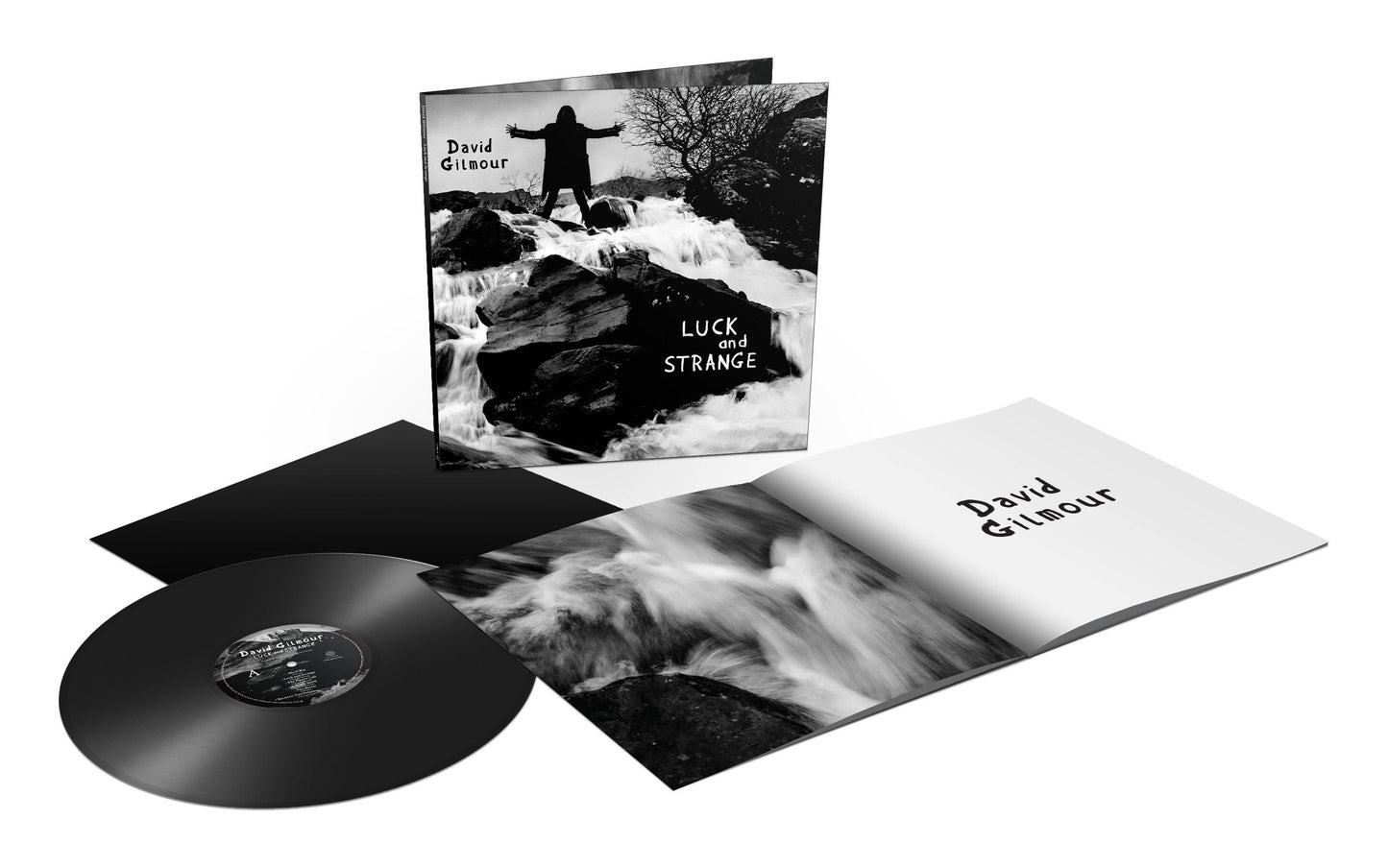 David Gilmour - Luck and Strange - LP - Standard - Black - 3D.jpg
