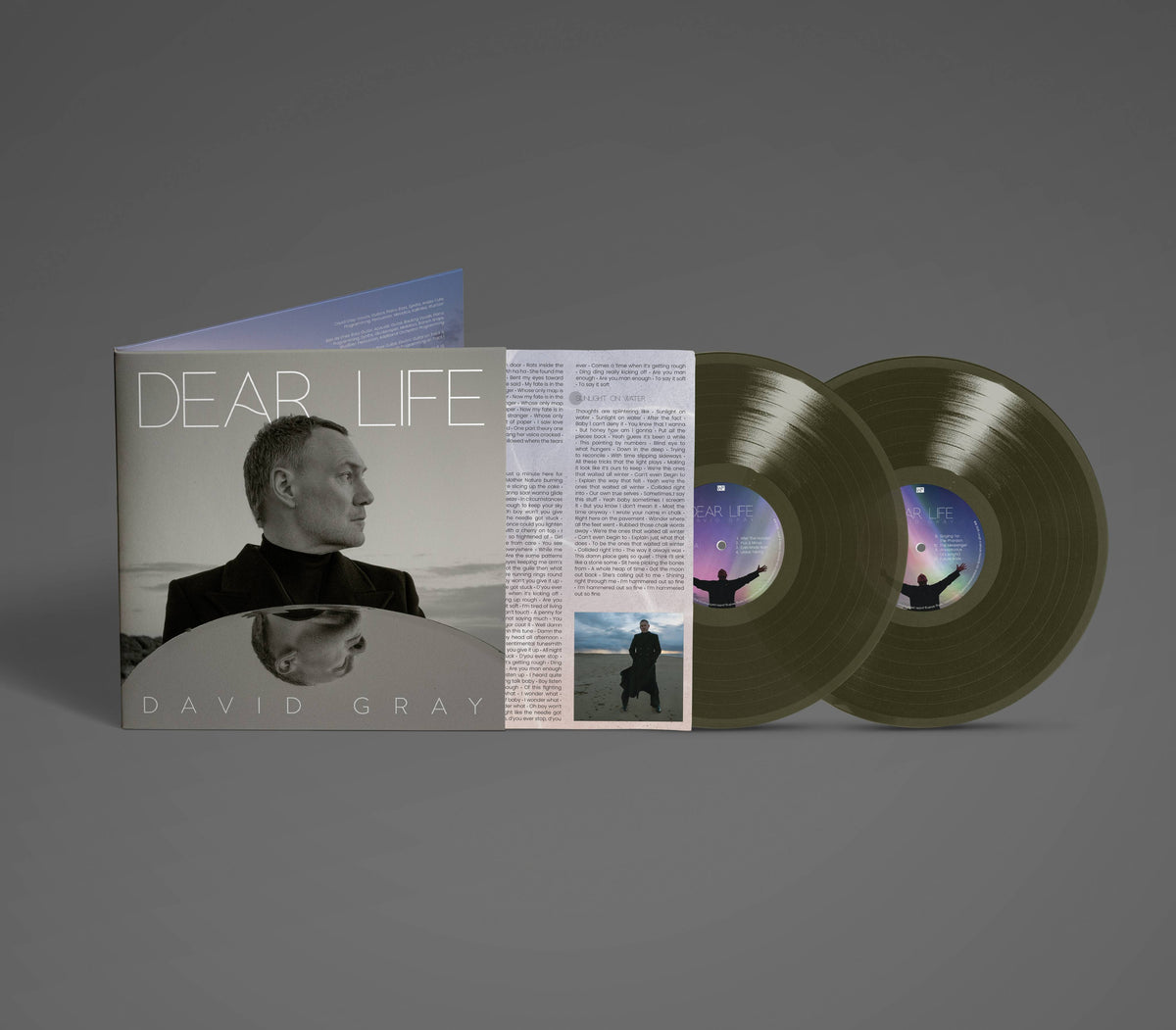 David Gray - Dear Life LP seaweed green indies.jpg