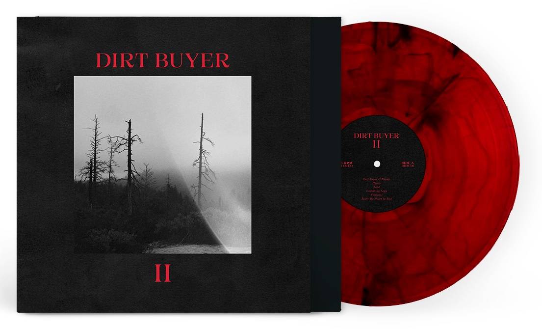Dirt Buyer - Dirt Buyer II LP render.jpg